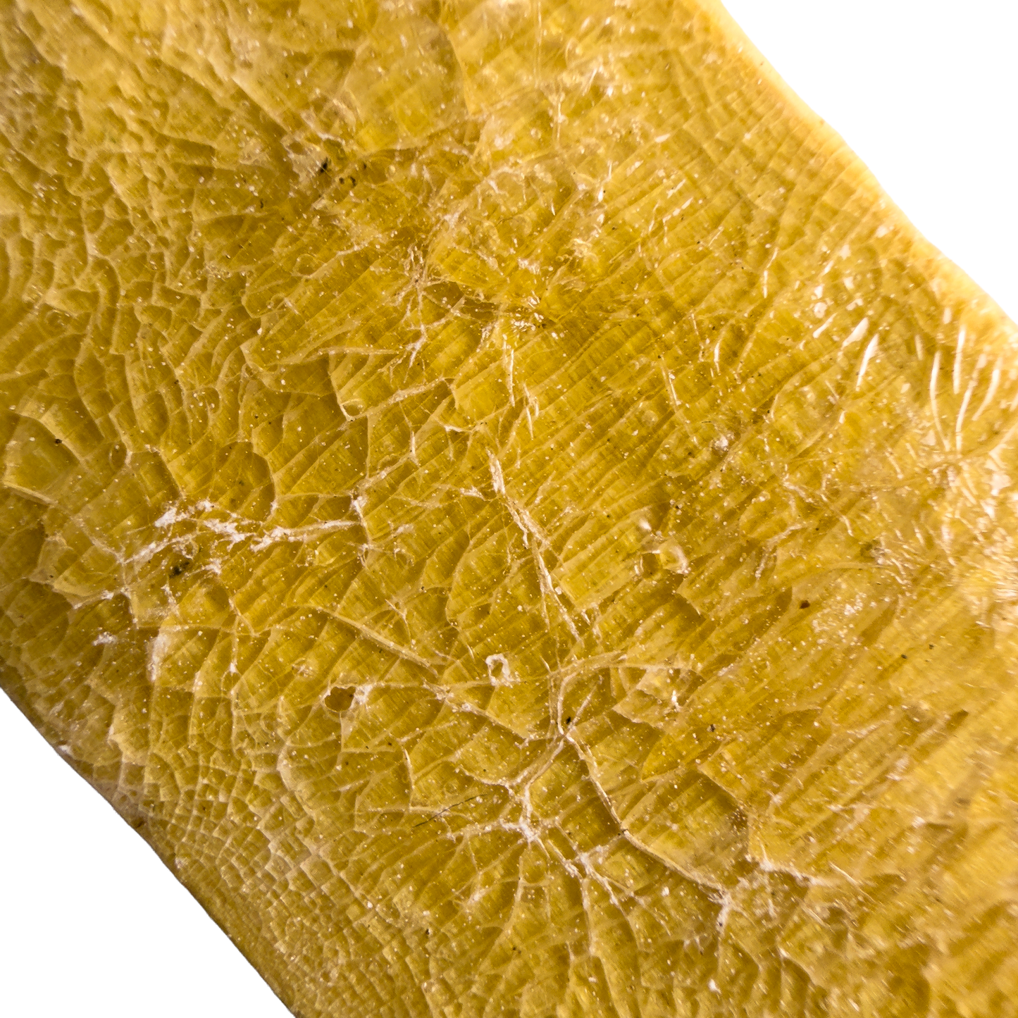 Traditional Kambo Stick