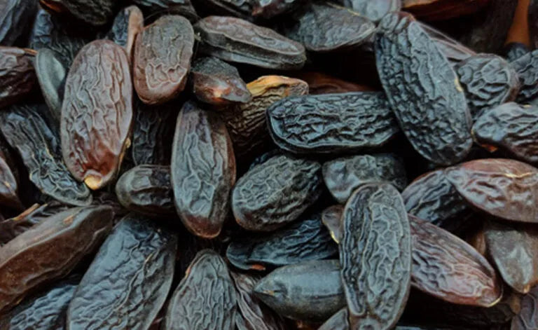 Nukini | Cumaru Trevo