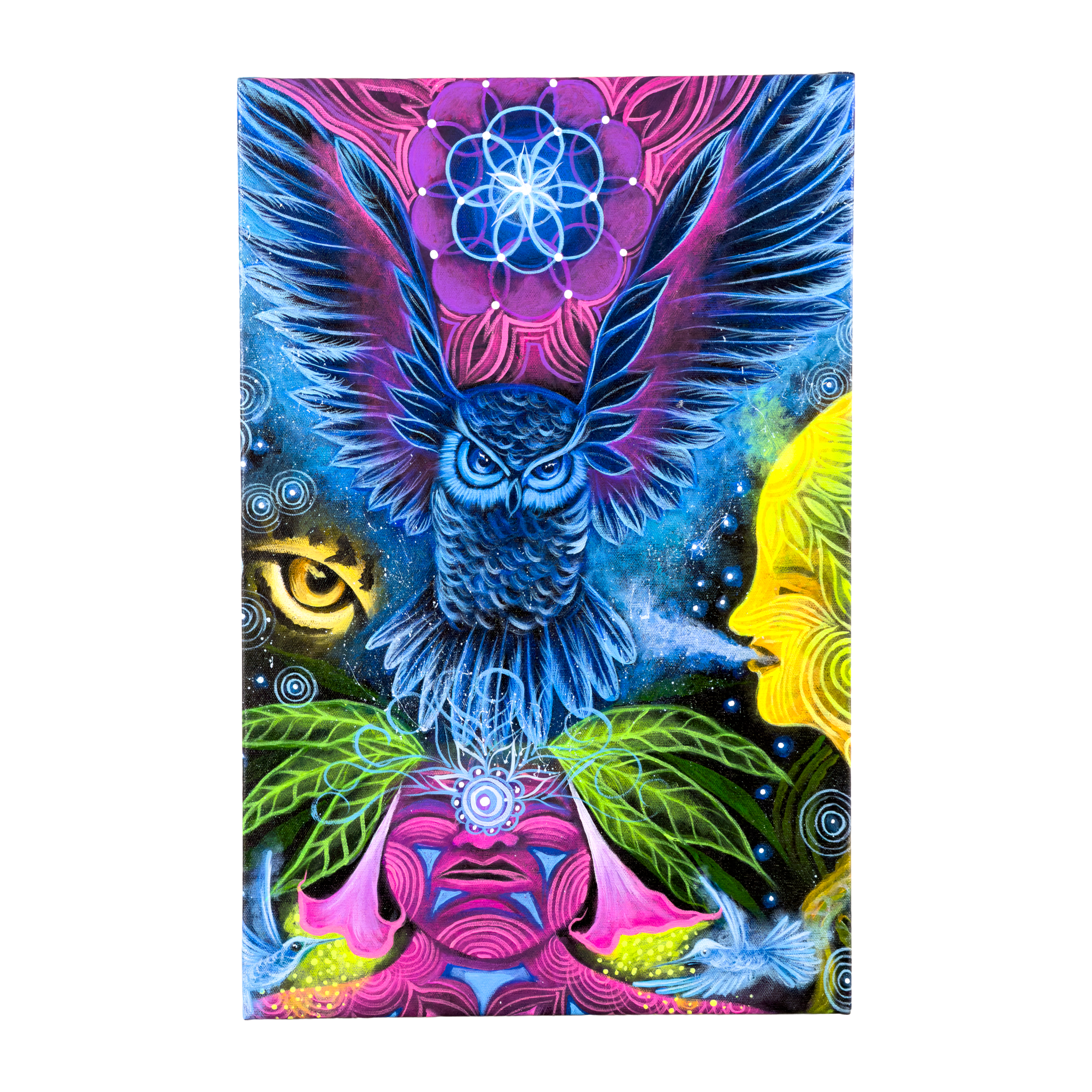Messenger of the Night Oil Painting | by Naomi Ushinahua
