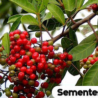 Yawanawá | Força Feminina