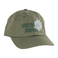 Dad Hats with Sacred Plants Logo