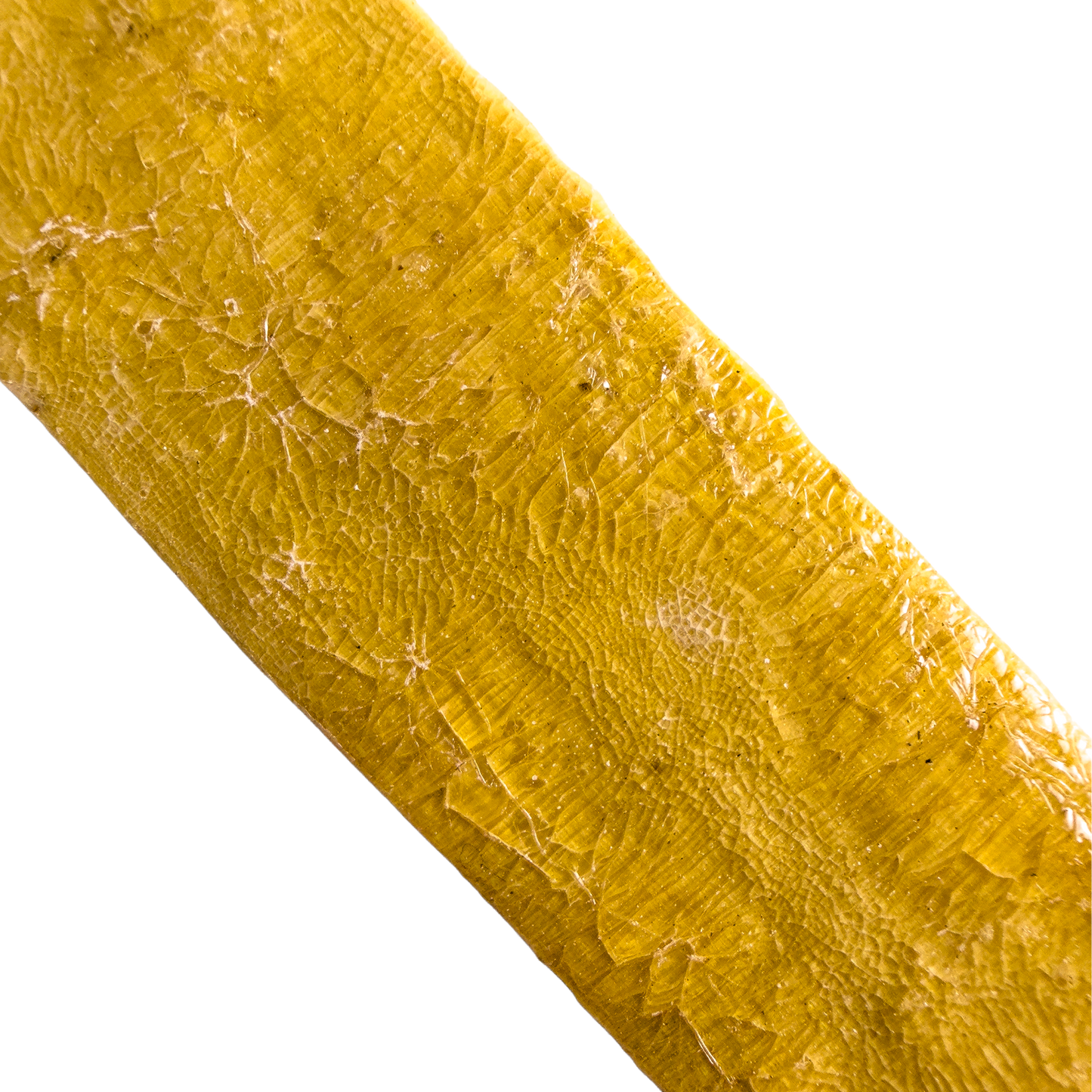 Traditional Kambo Stick