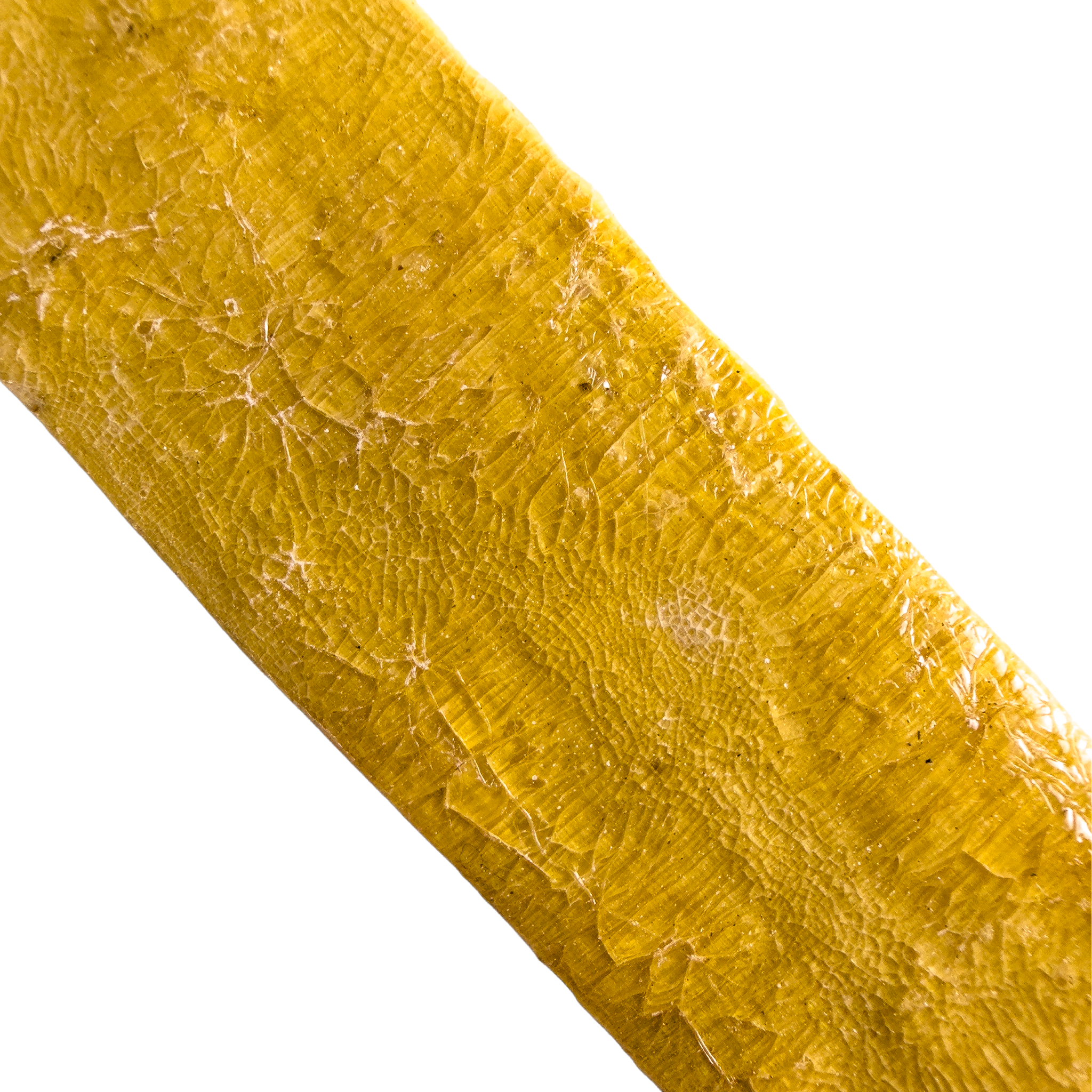 Traditional Kambo Stick