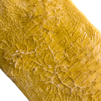 Traditional Kambo Stick