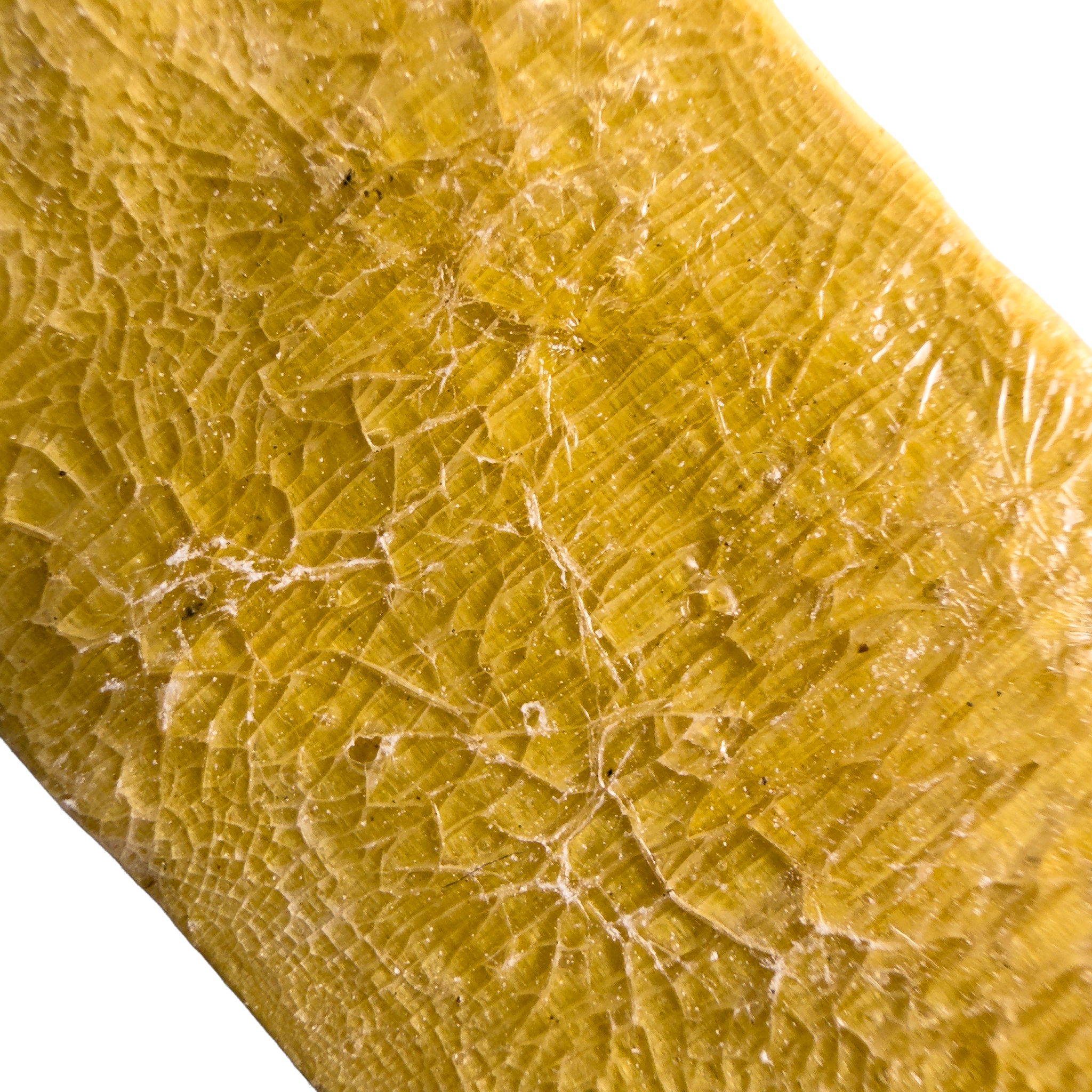 Traditional Kambo Stick