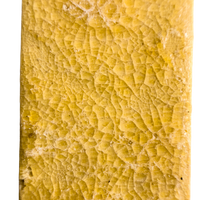 Traditional Kambo Stick