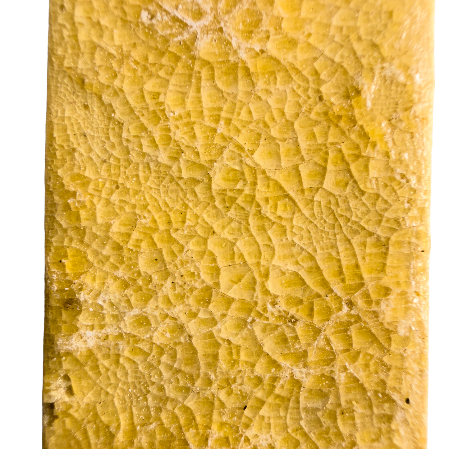 Traditional Kambo Stick