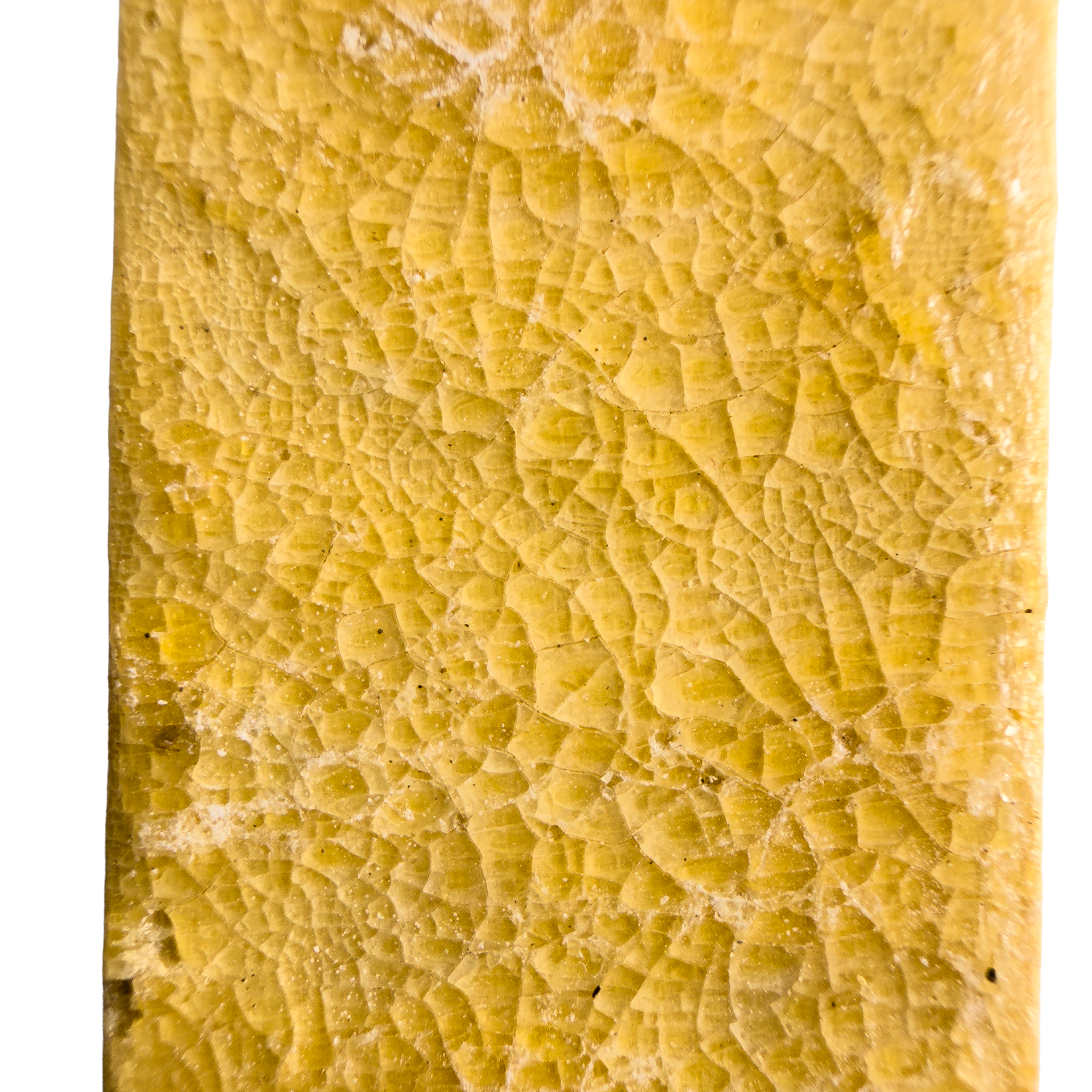Traditional Kambo Stick